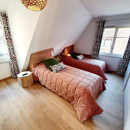 Mes Amours Semesterbostad Ribeauvillé